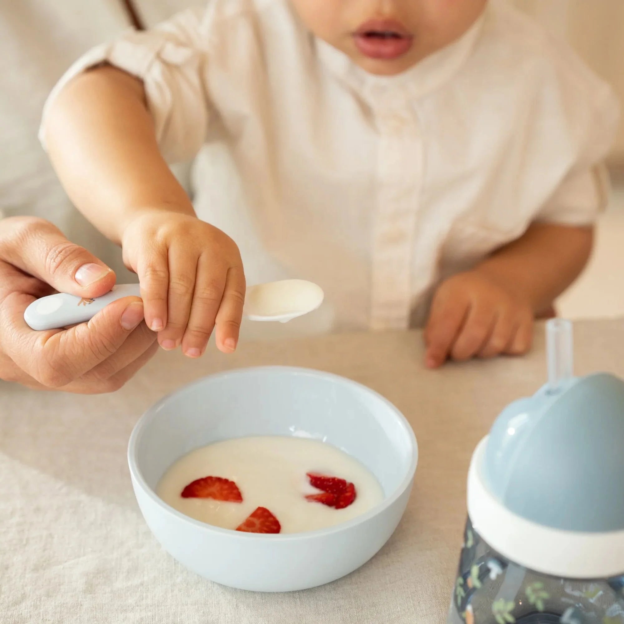 Taça de refeição Forest Friends