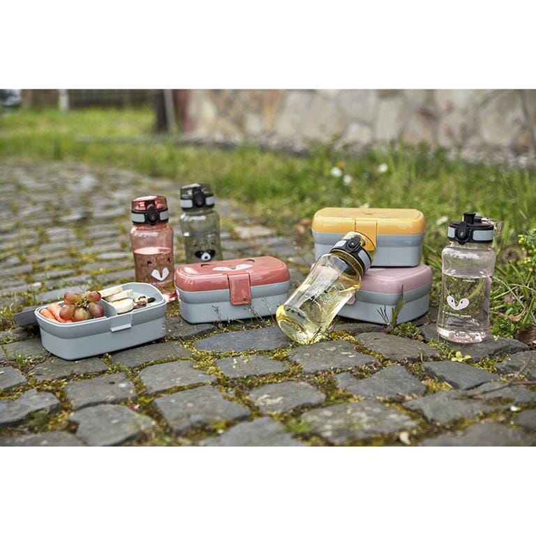 Lancheira + garrafa fox dinnerware Lassig