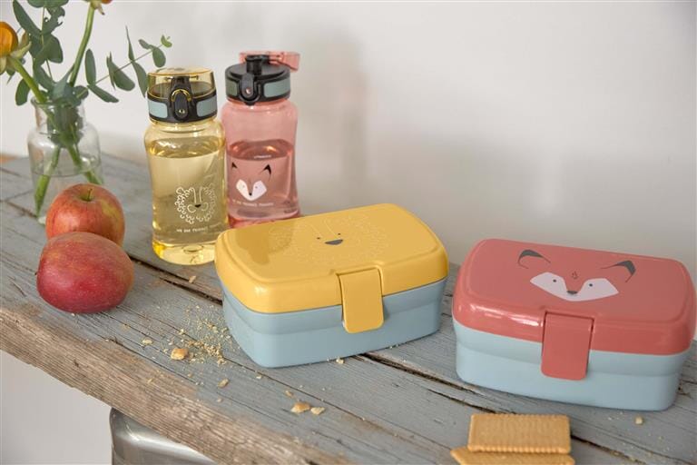 Lancheira + garrafa fox dinnerware Lassig