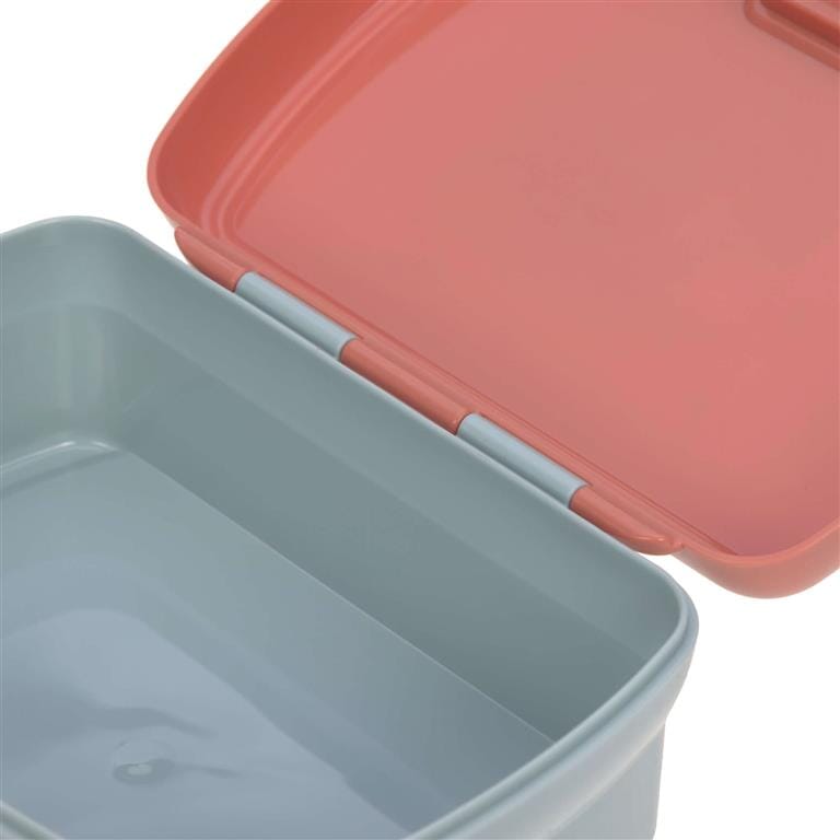 Lancheira + garrafa fox dinnerware Lassig