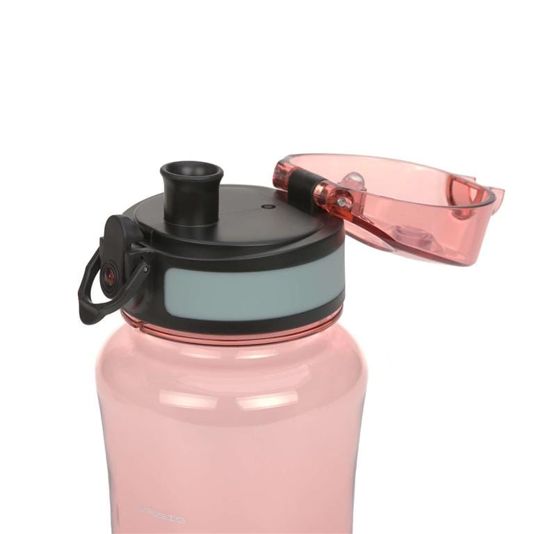 Lancheira + garrafa fox dinnerware Lassig