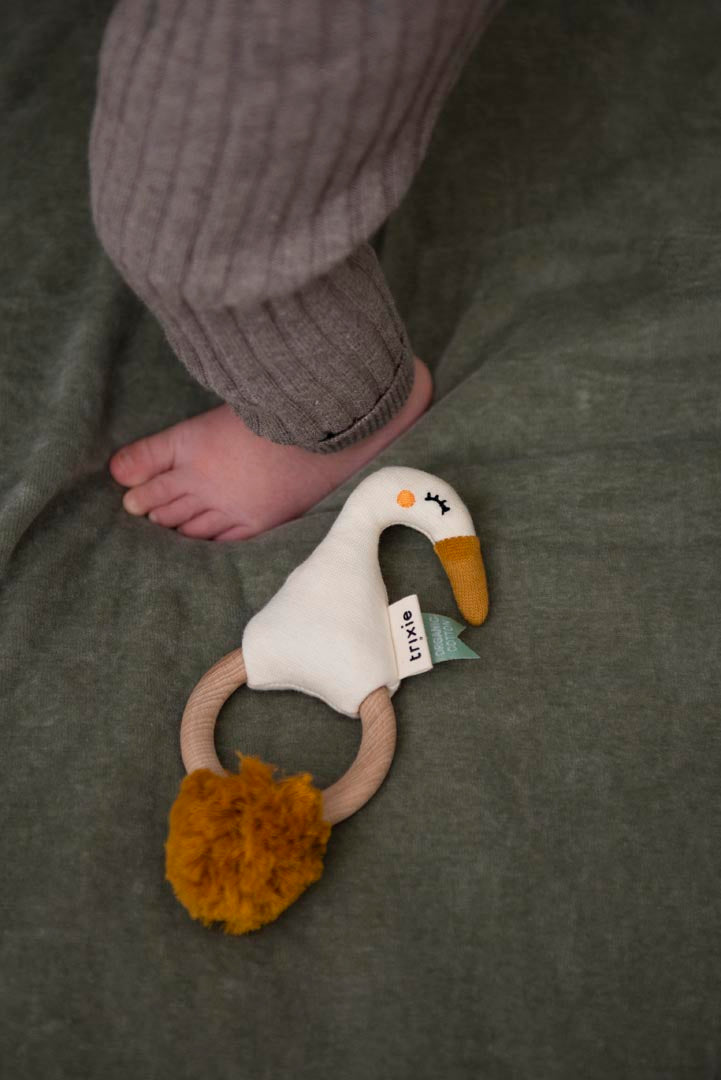 Roca mordedor Garça