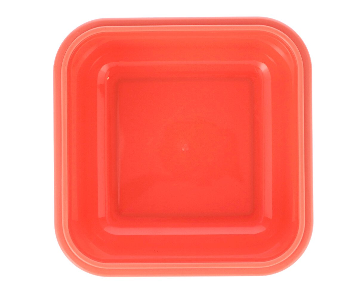 Lancheira grande little garden