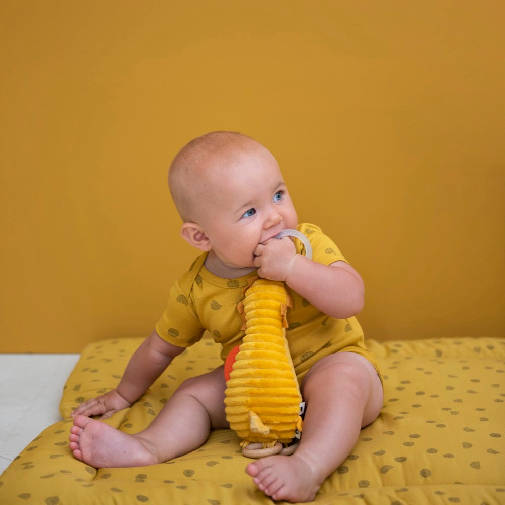 Brinquedo de atividades Mr Lion