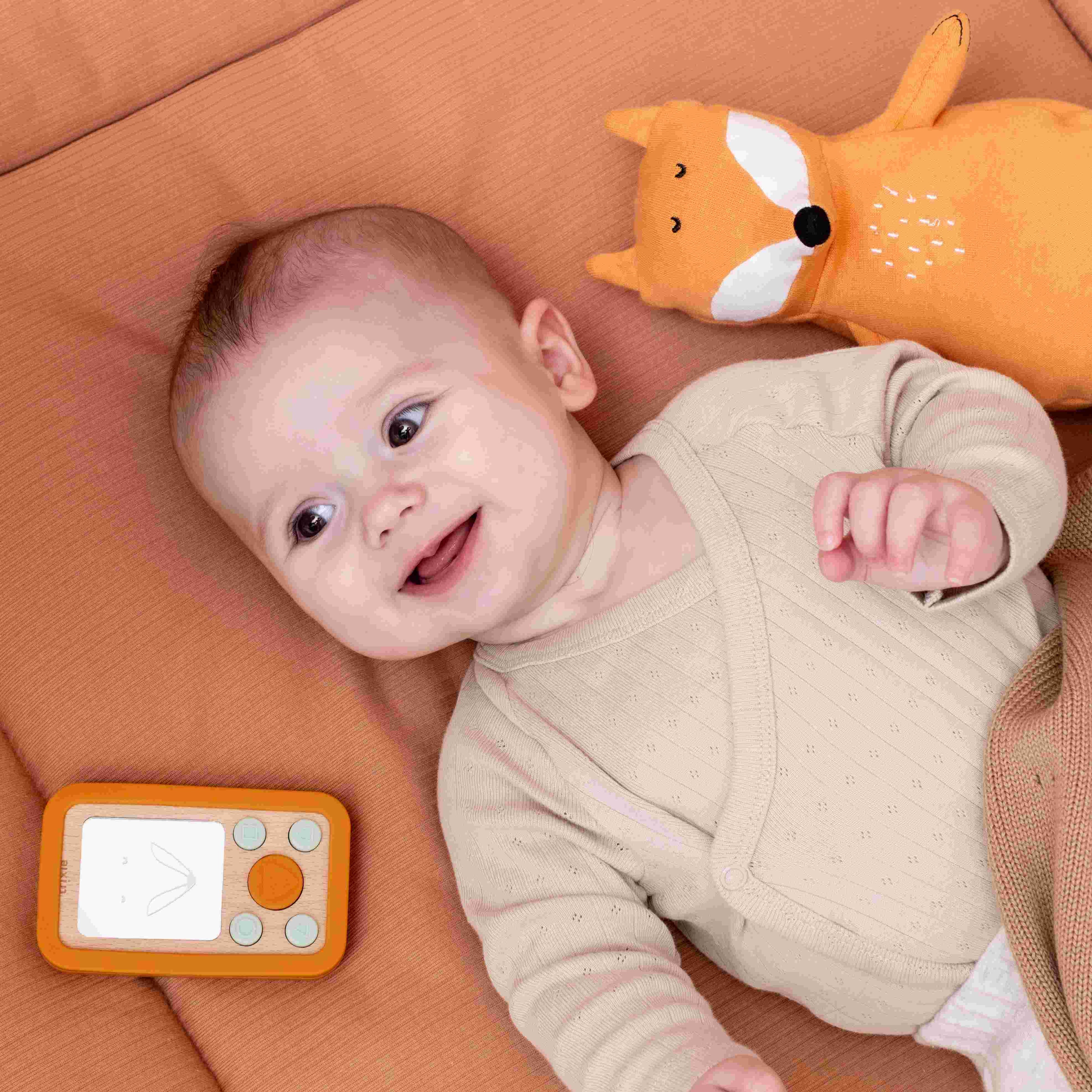 Peluche 25 cm Mr Fox