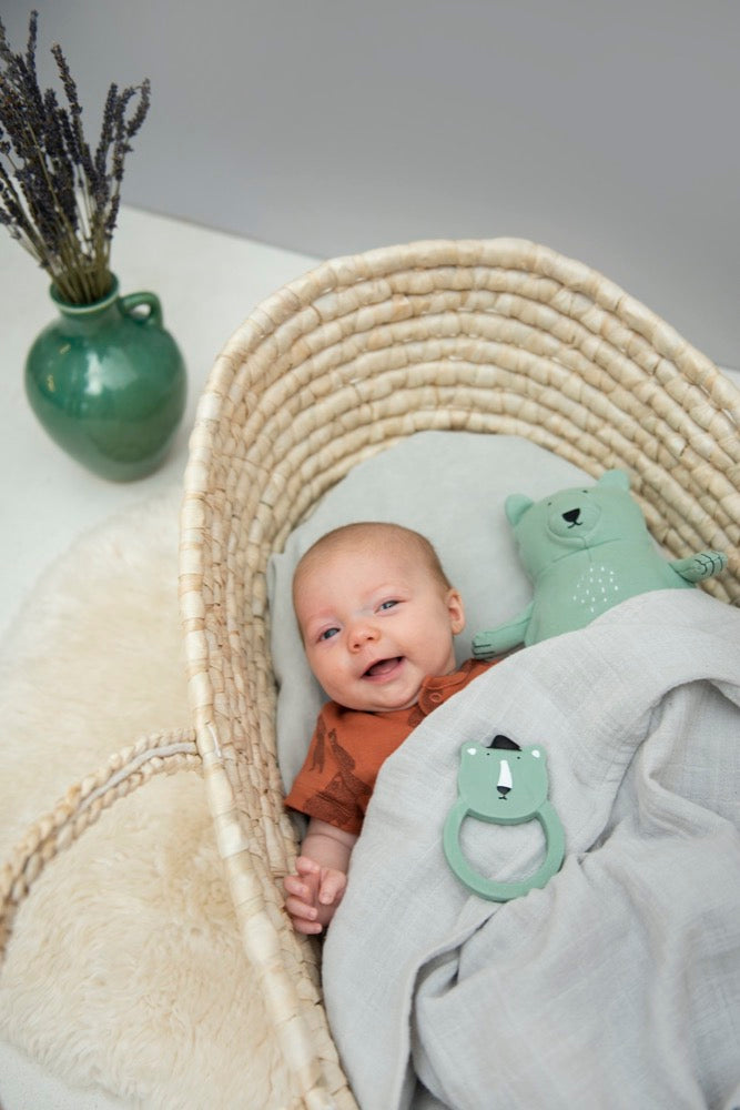 Mordedor anel borracha natural Mr Polar Bear