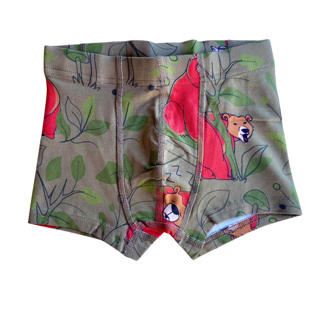 Boxers brown bear