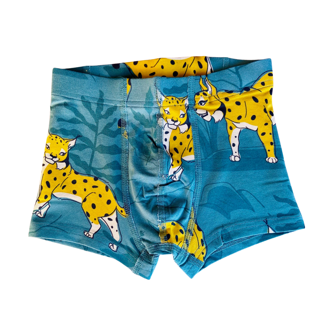 Boxers lynx