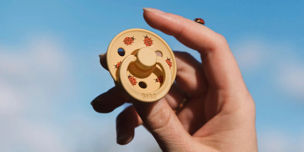 2 chupetas redondas BIBS Studio Colour ladybug sage mix