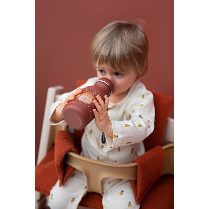 Garrafa 350 ml Mr Monkey