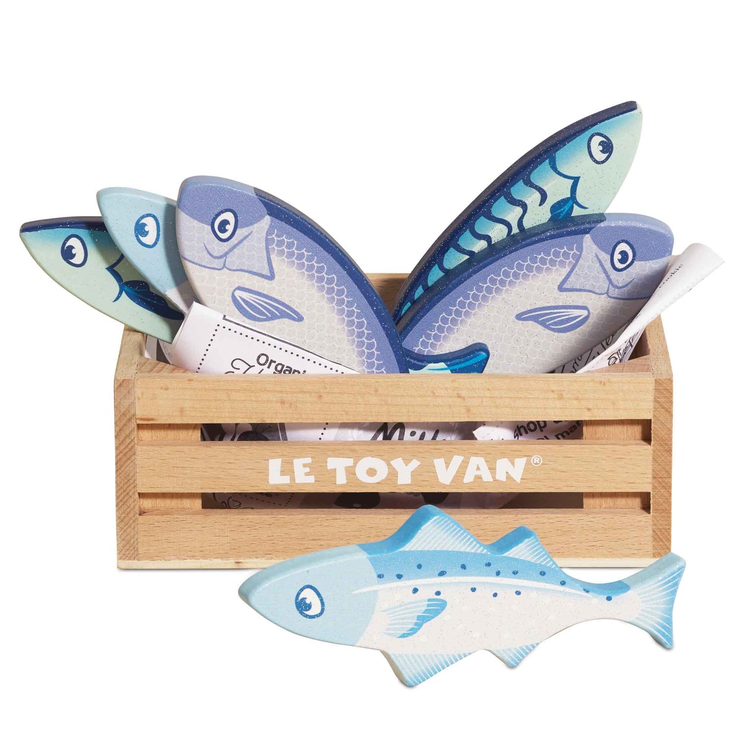 Caixa peixe fresco