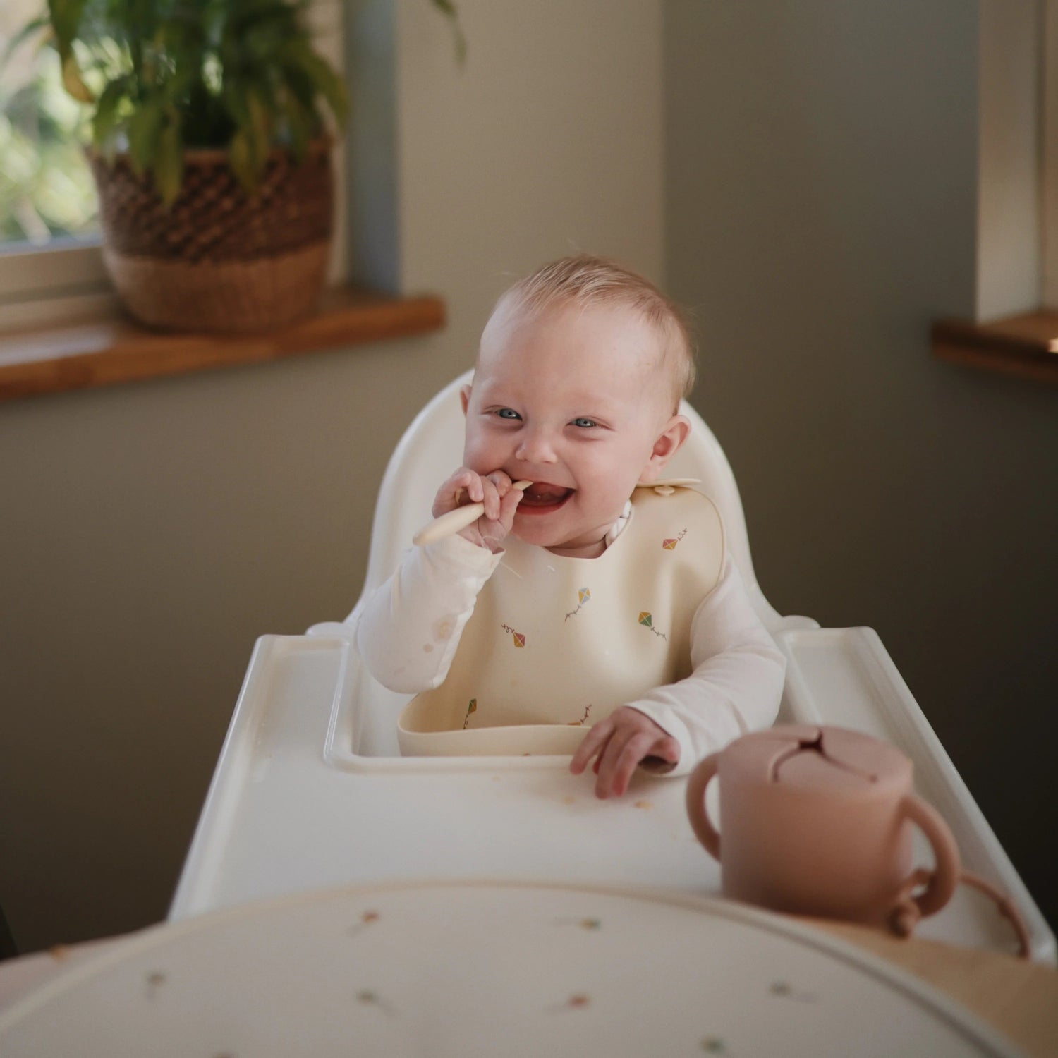 Babete de silicone papagaio de papel