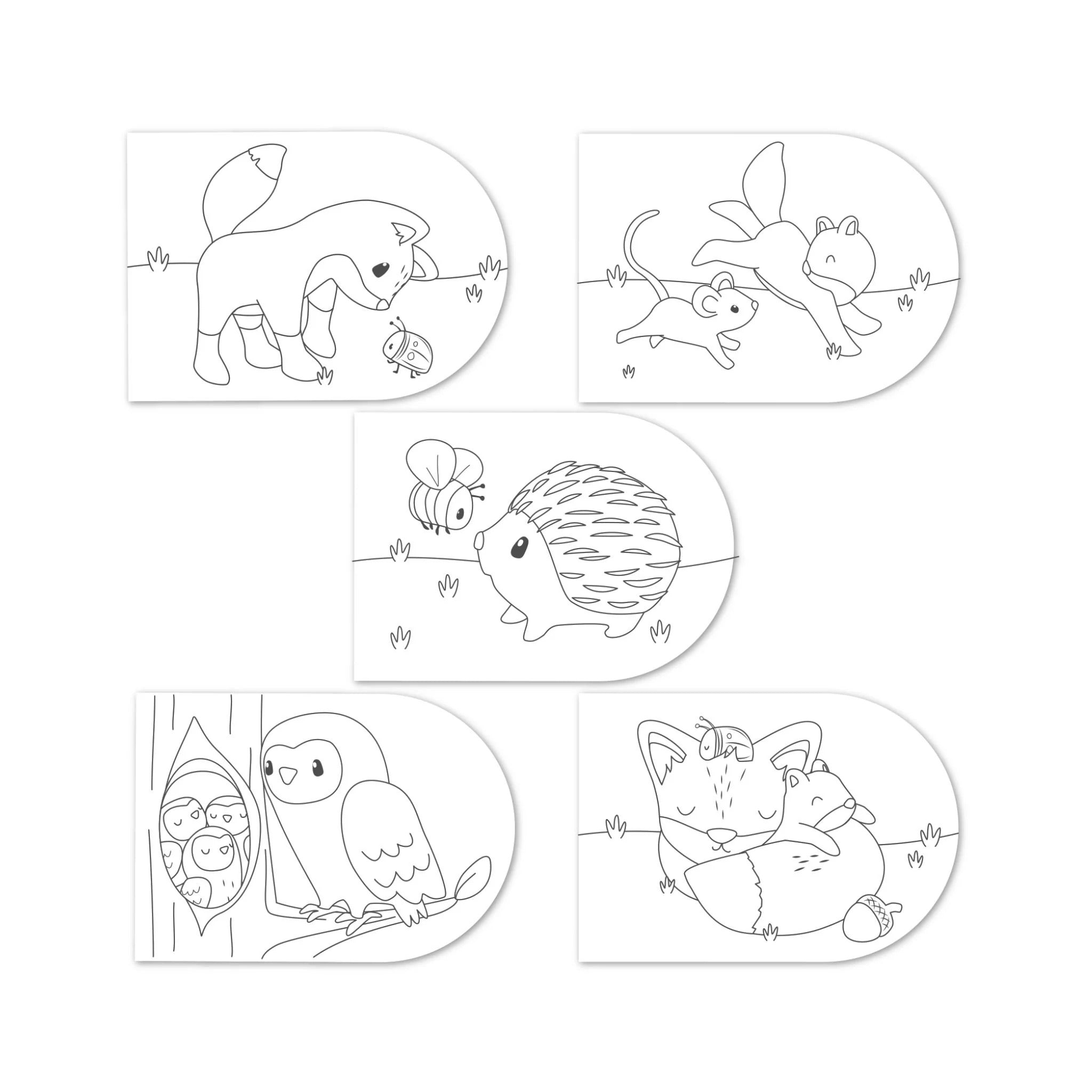 Livro para pintar Forest Friends - inclui aguarelas e pincel