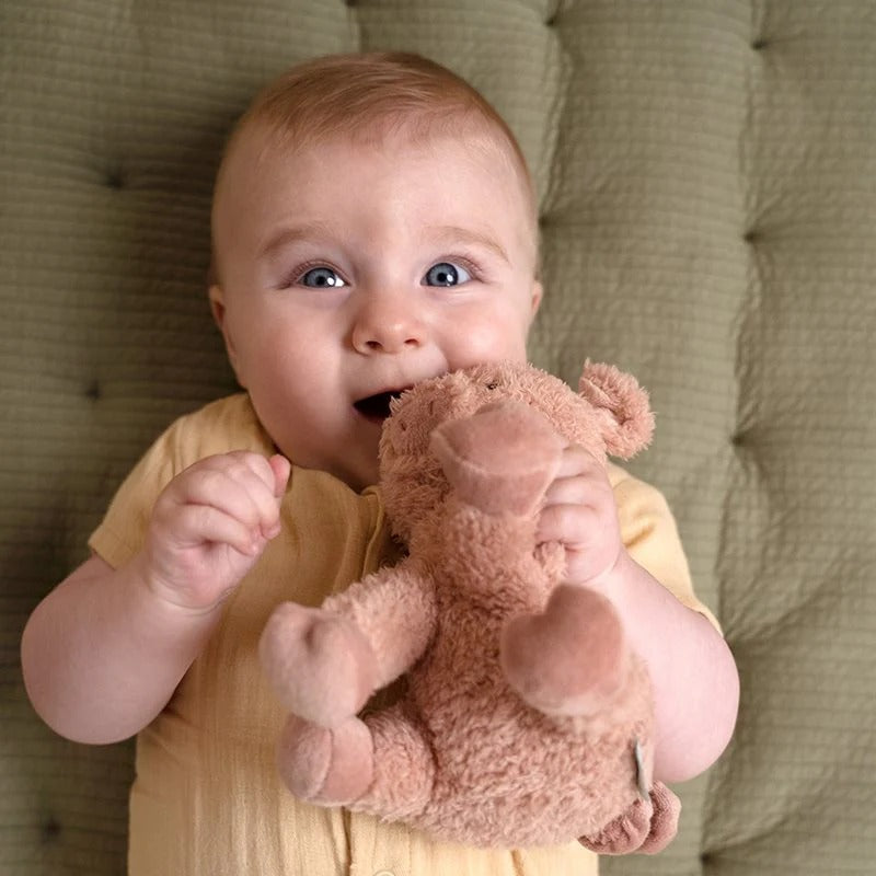 Peluche porquinho Little Farm