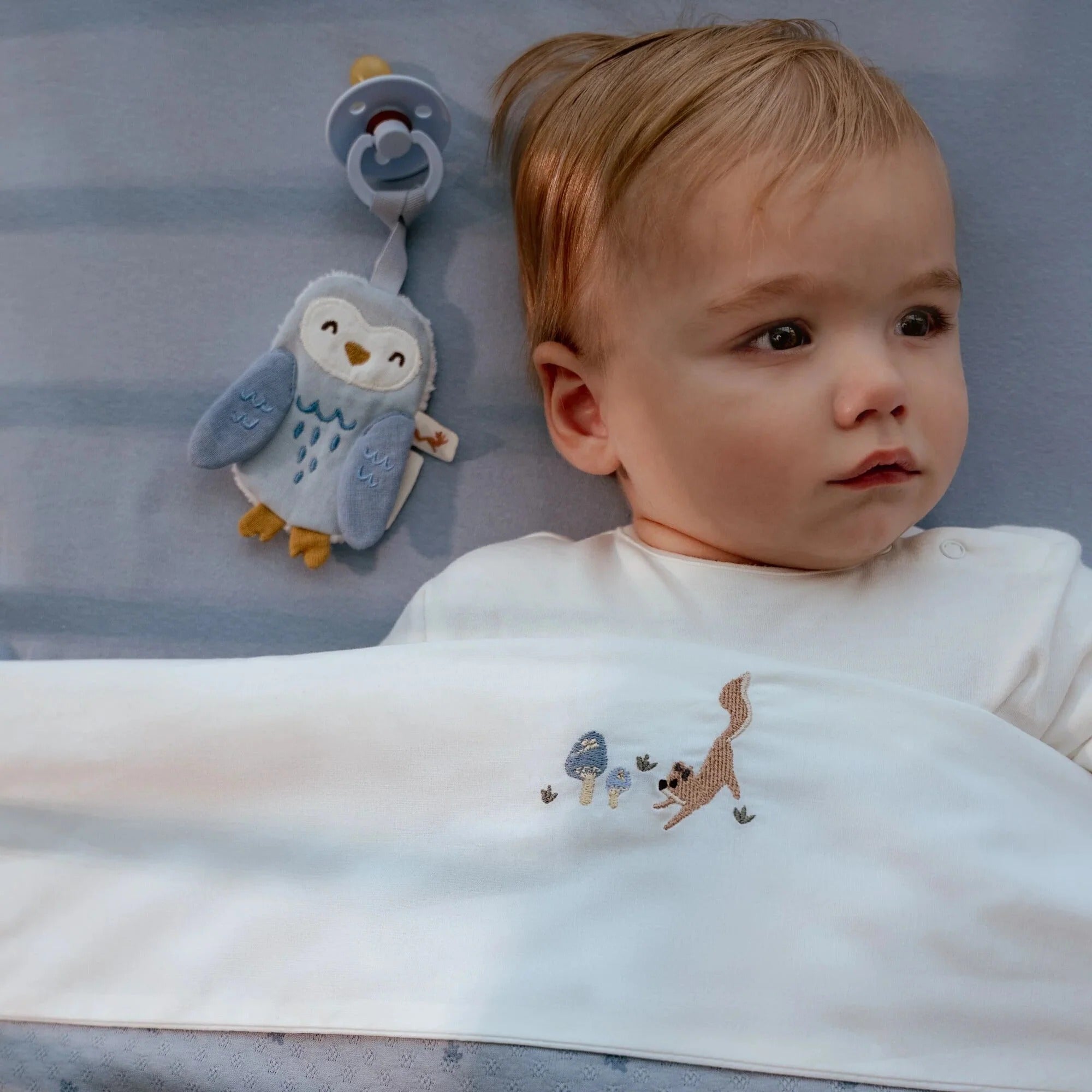 Paninho prende-chupeta coruja azul Forest Friends