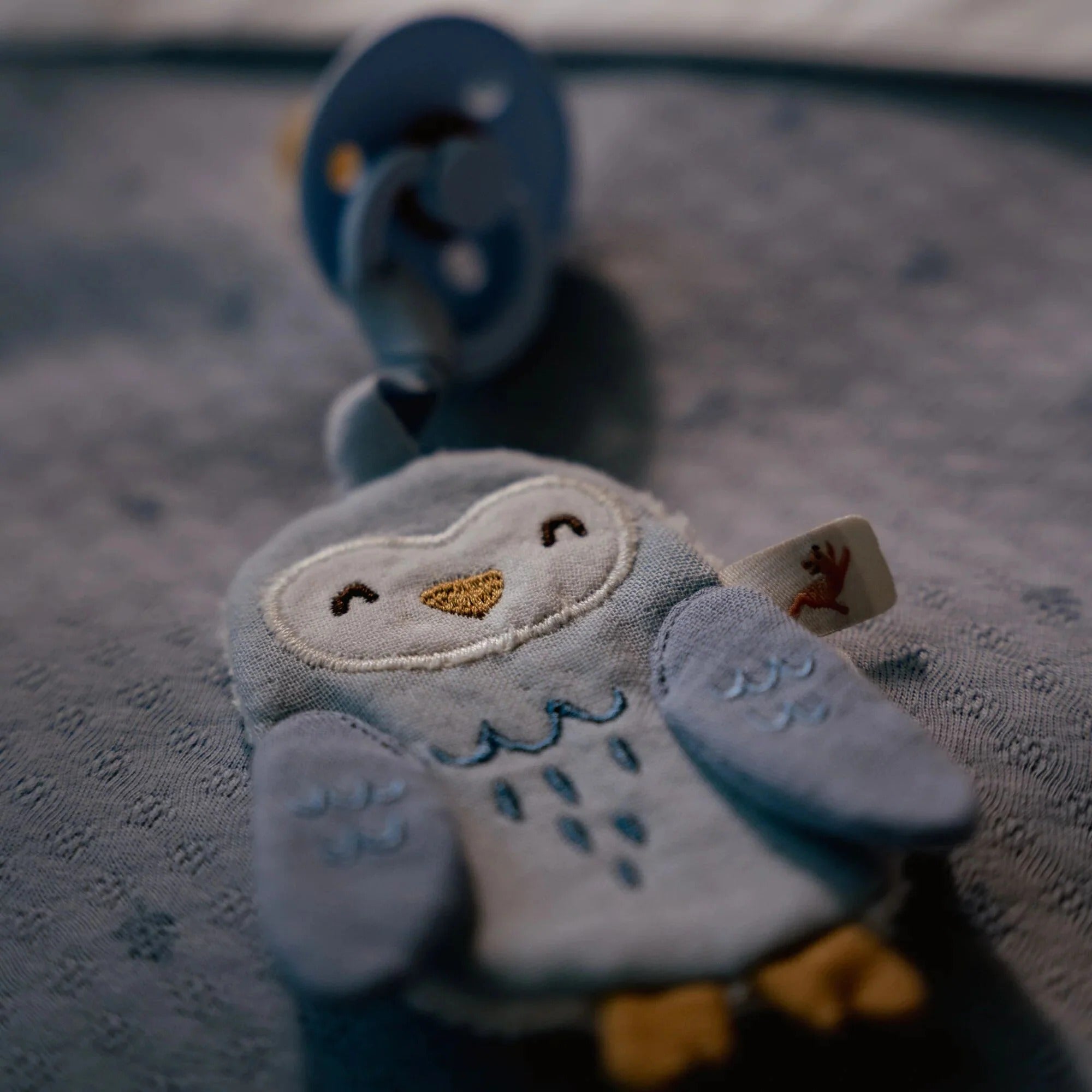 Paninho prende-chupeta coruja azul Forest Friends