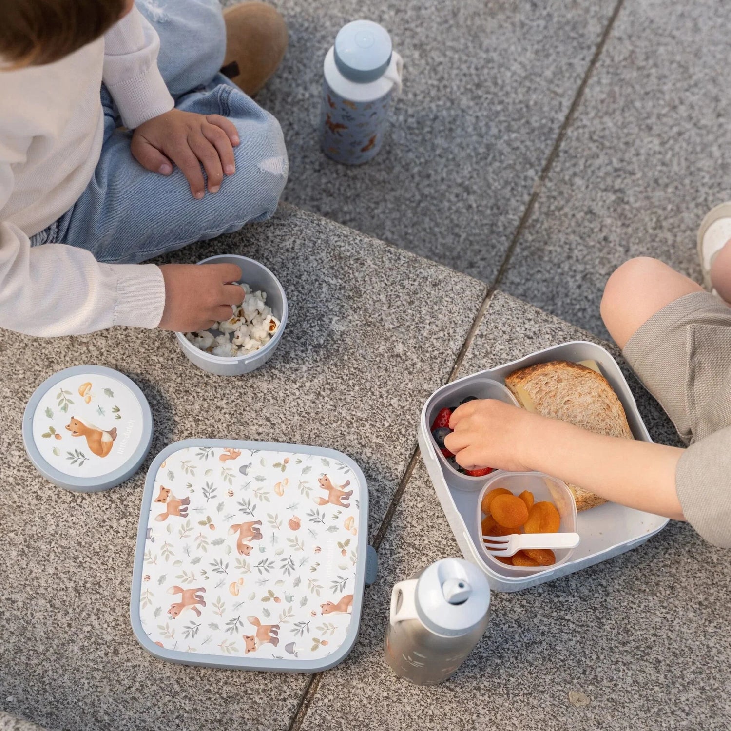 Lancheira “Campus Bento” Grande Forest Friends