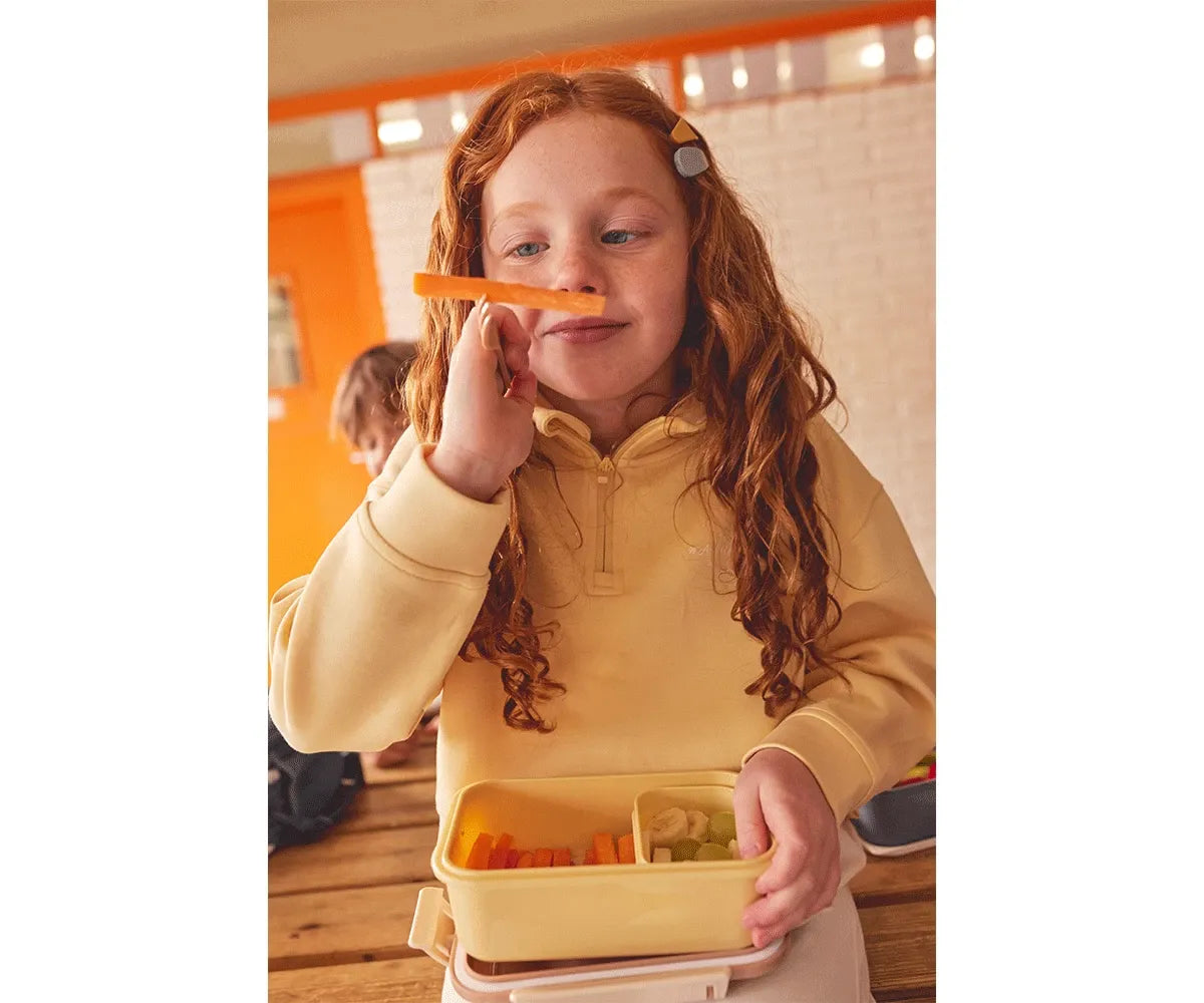 Lancheira bento Três Porquinhos