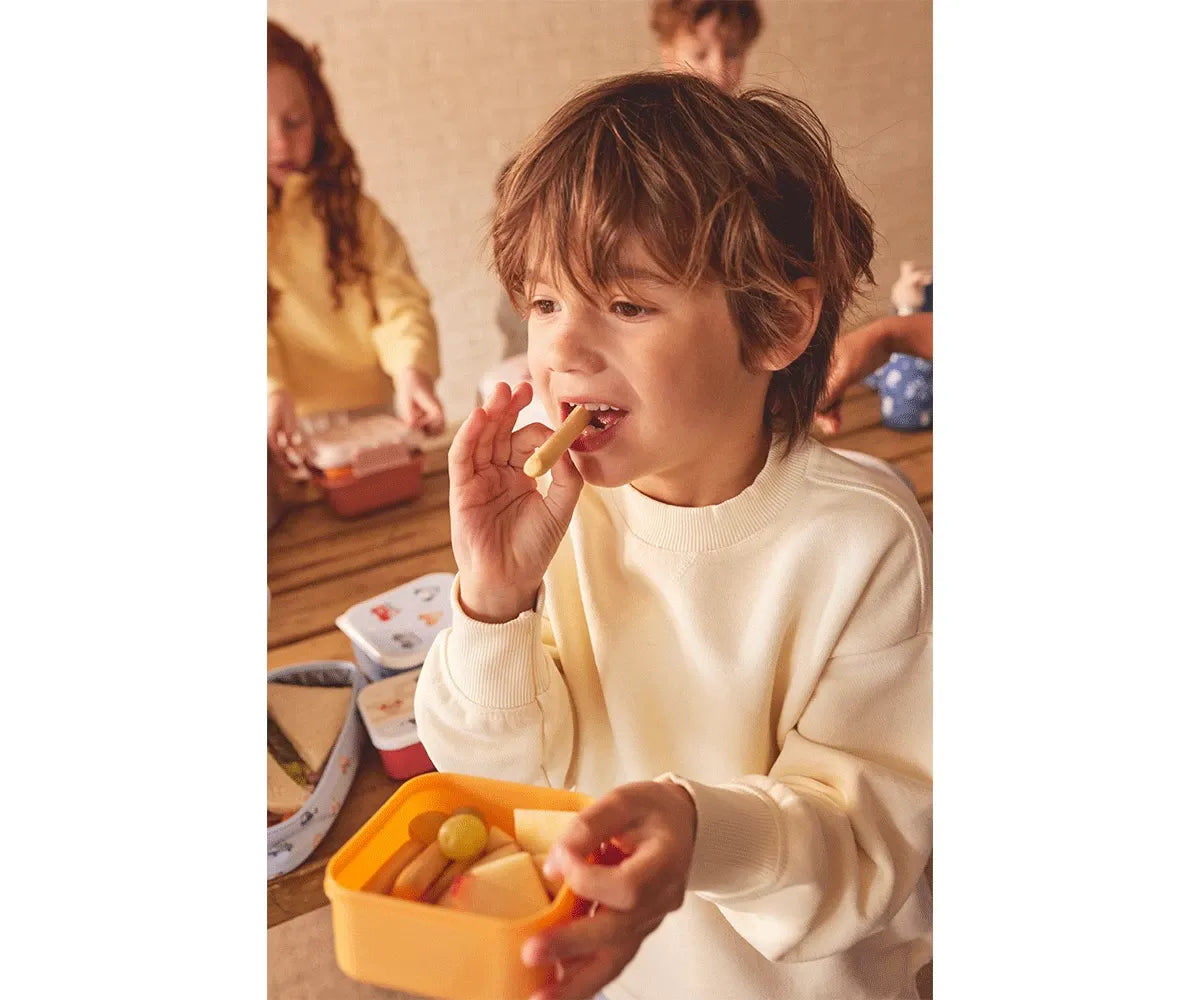 3 lancheiras Geometric Nature