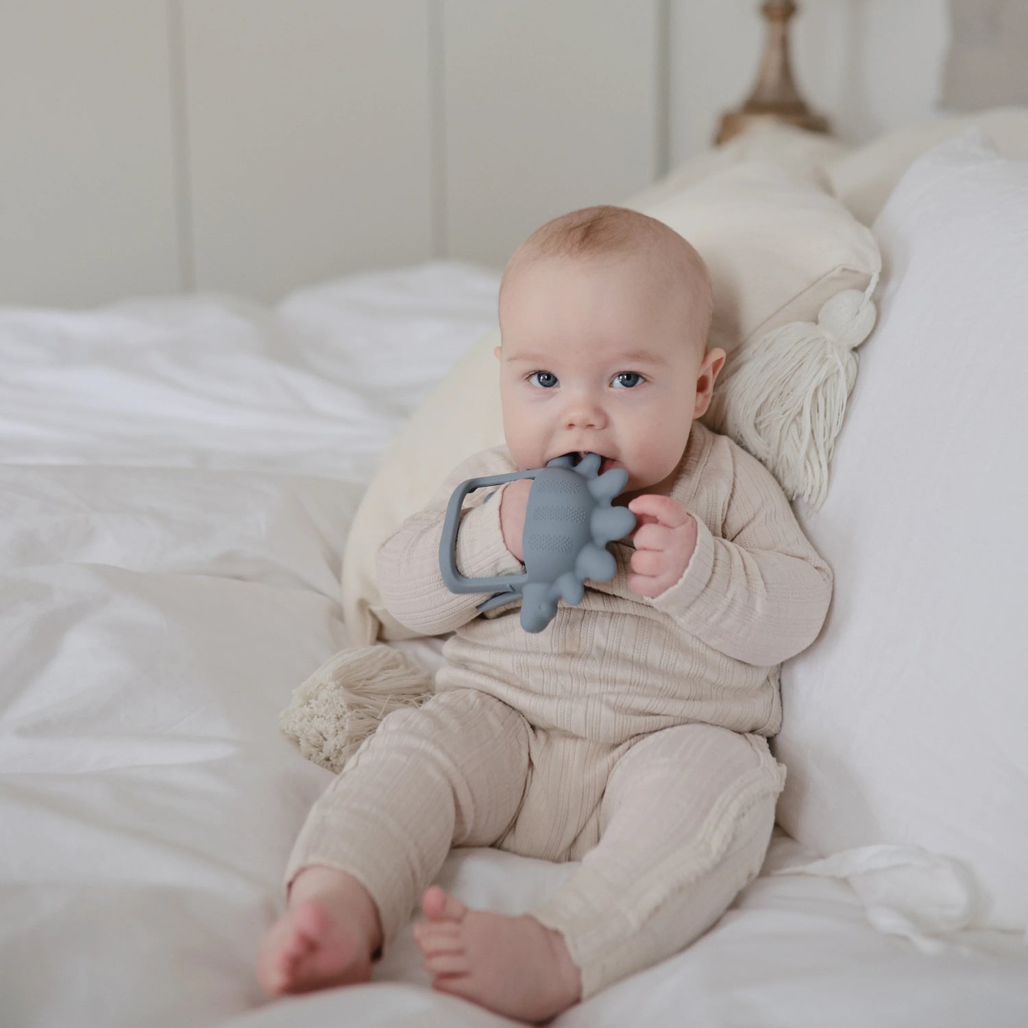 Mordedor no-drop dino