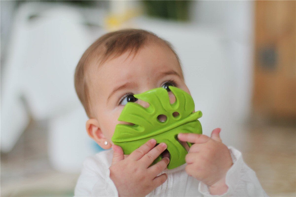 Brinquedo sensorial | mordedor folha de Monstera Toys Lanco