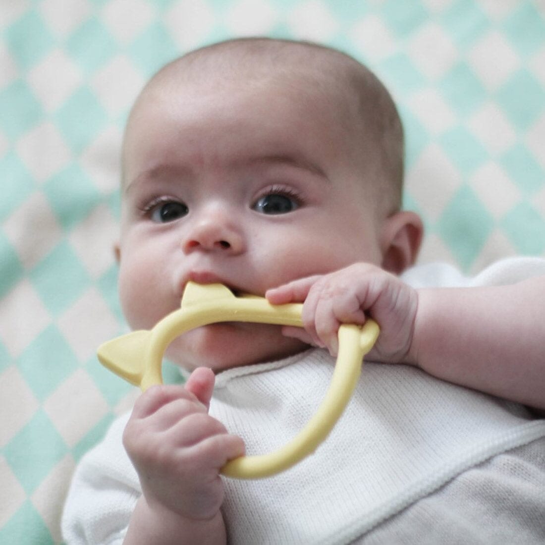 Mordedor gatinho Toys Lanco