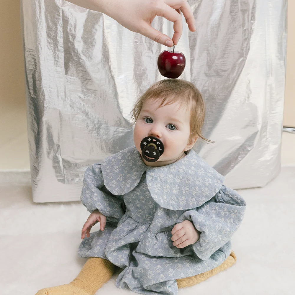 2 chupetas redondas BIBS Colour Natal bow ivory | plum