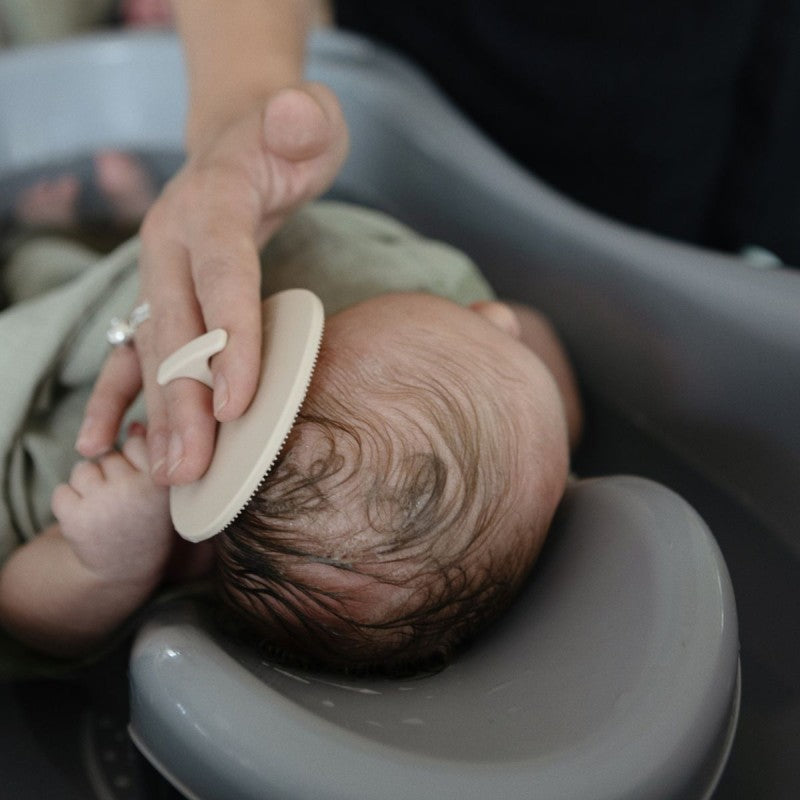 Pack 2 escovas para crosta láctea tradewinds | periwinkle