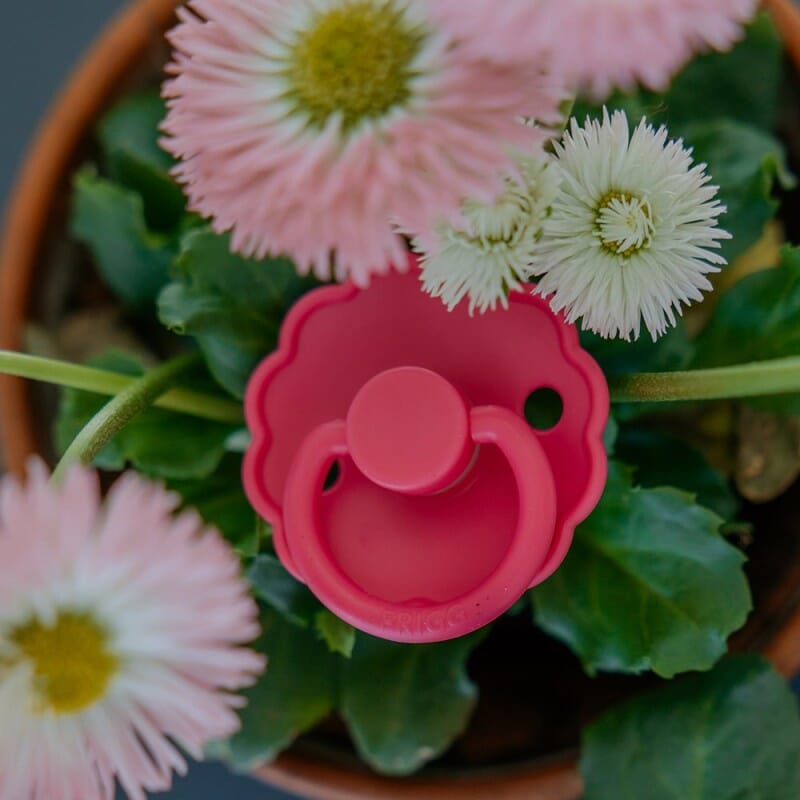 2 chupetas daisy fuchsia/lilac SILICONE Frigg FRIGG