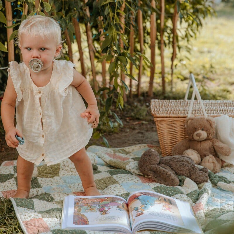 2 chupetas fairytale lukoie/clumsy SILICONE FRIGG