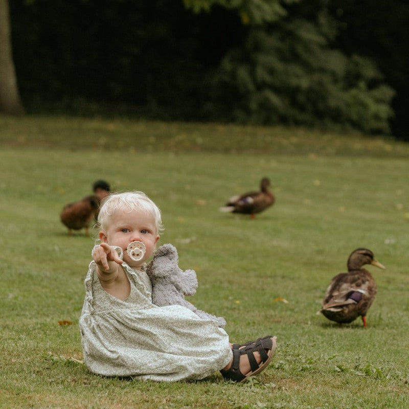 6 chupetas redondas silicone mixed cinnamon charm