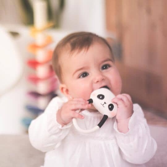 Mordedor panda Toys Lanco