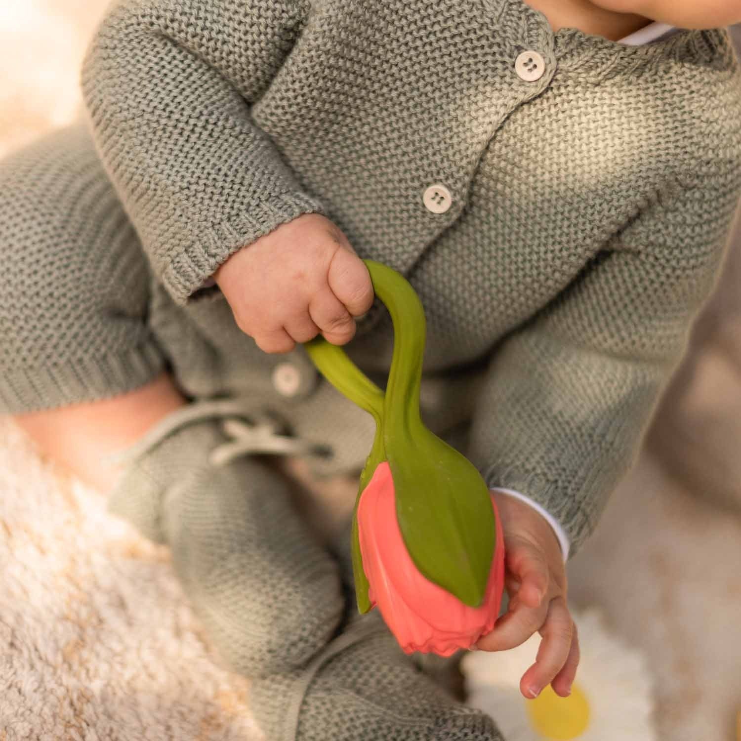 Mordedor Theo a tulipa