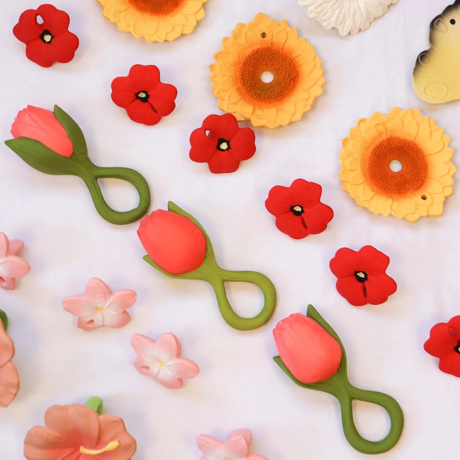 Mordedor Theo a tulipa