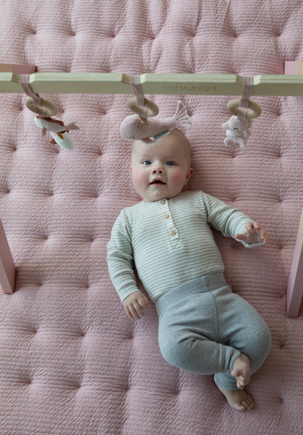 Baby gym pink Little Dutch Toys Little Dutch