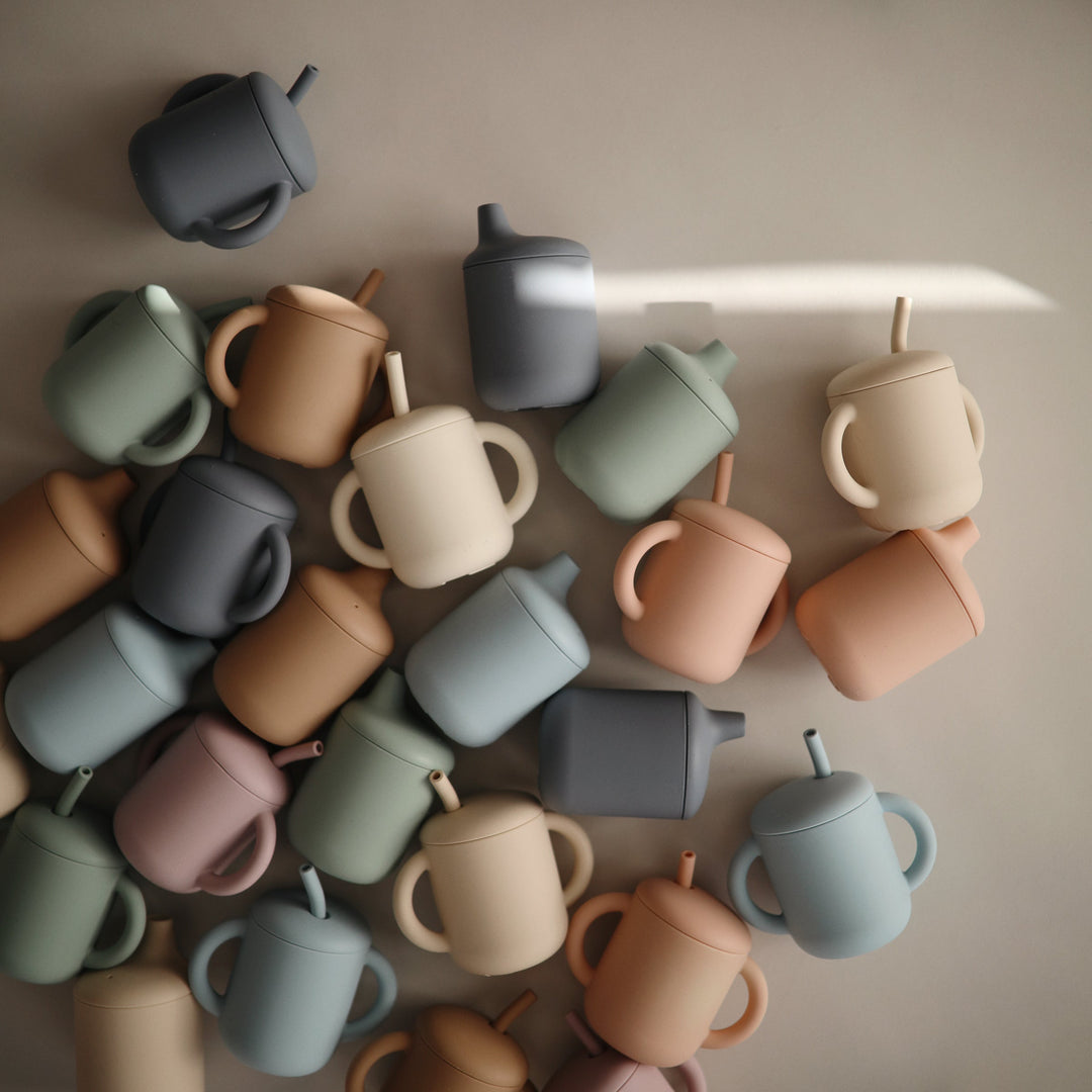 Silicone sippy cup blush mushie meal mushie