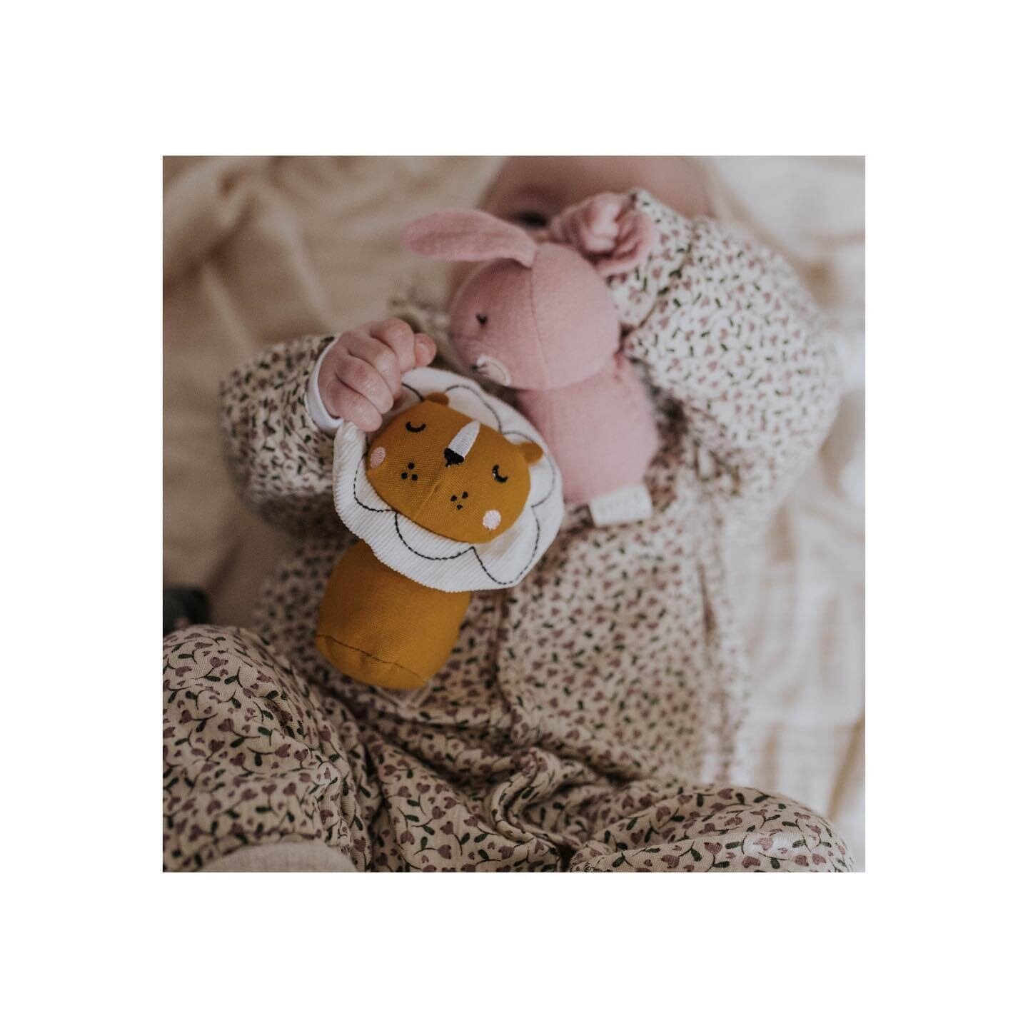 Roca coelhinho Toys Picca Loulou