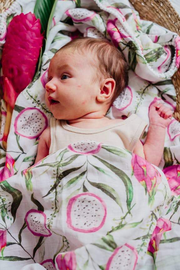 Musselina pitaia 120 cm Muslin Hutch&Putch