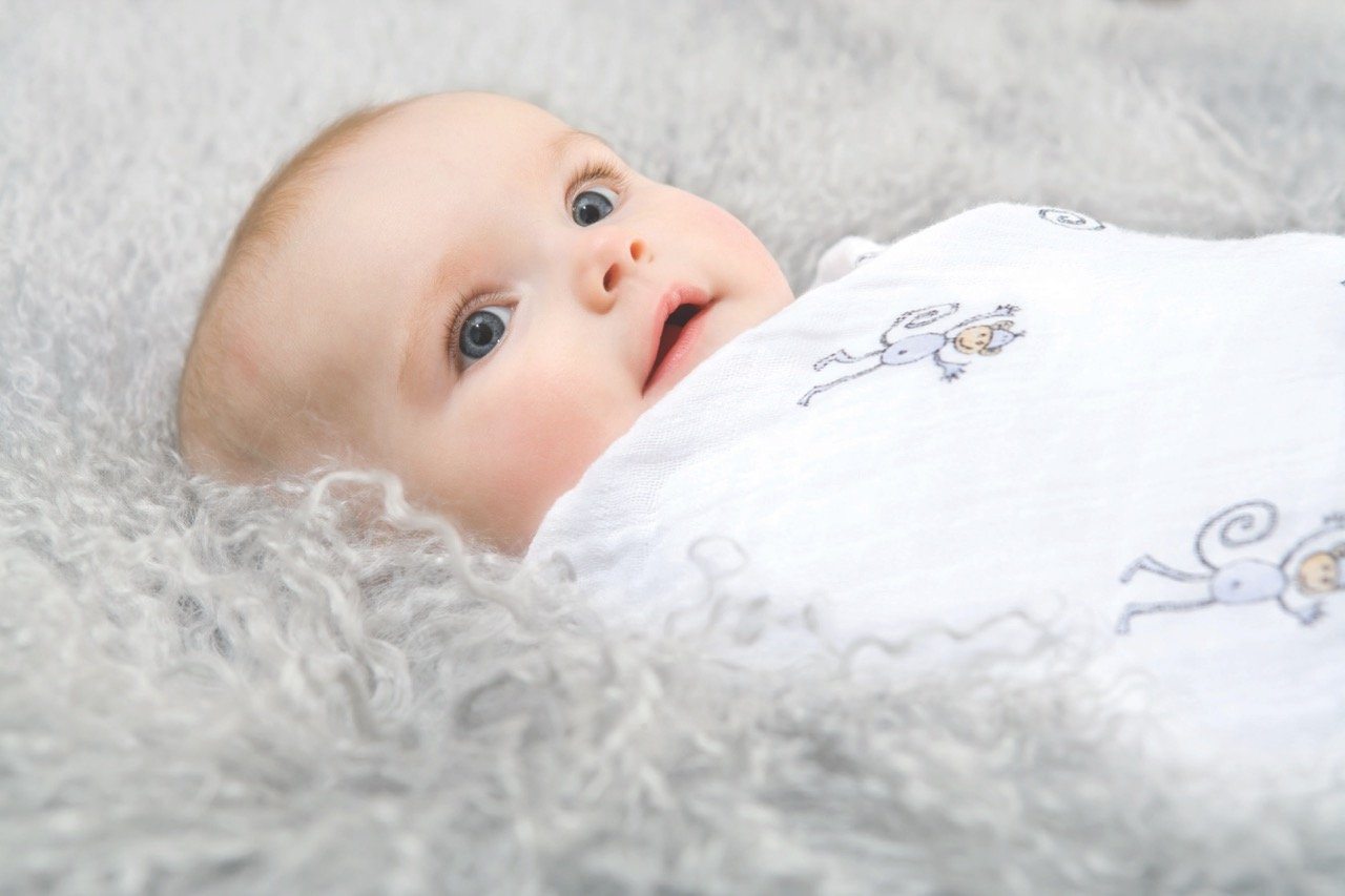 Muslins Jungle Jam 4-pack Muslin Aden + Anais