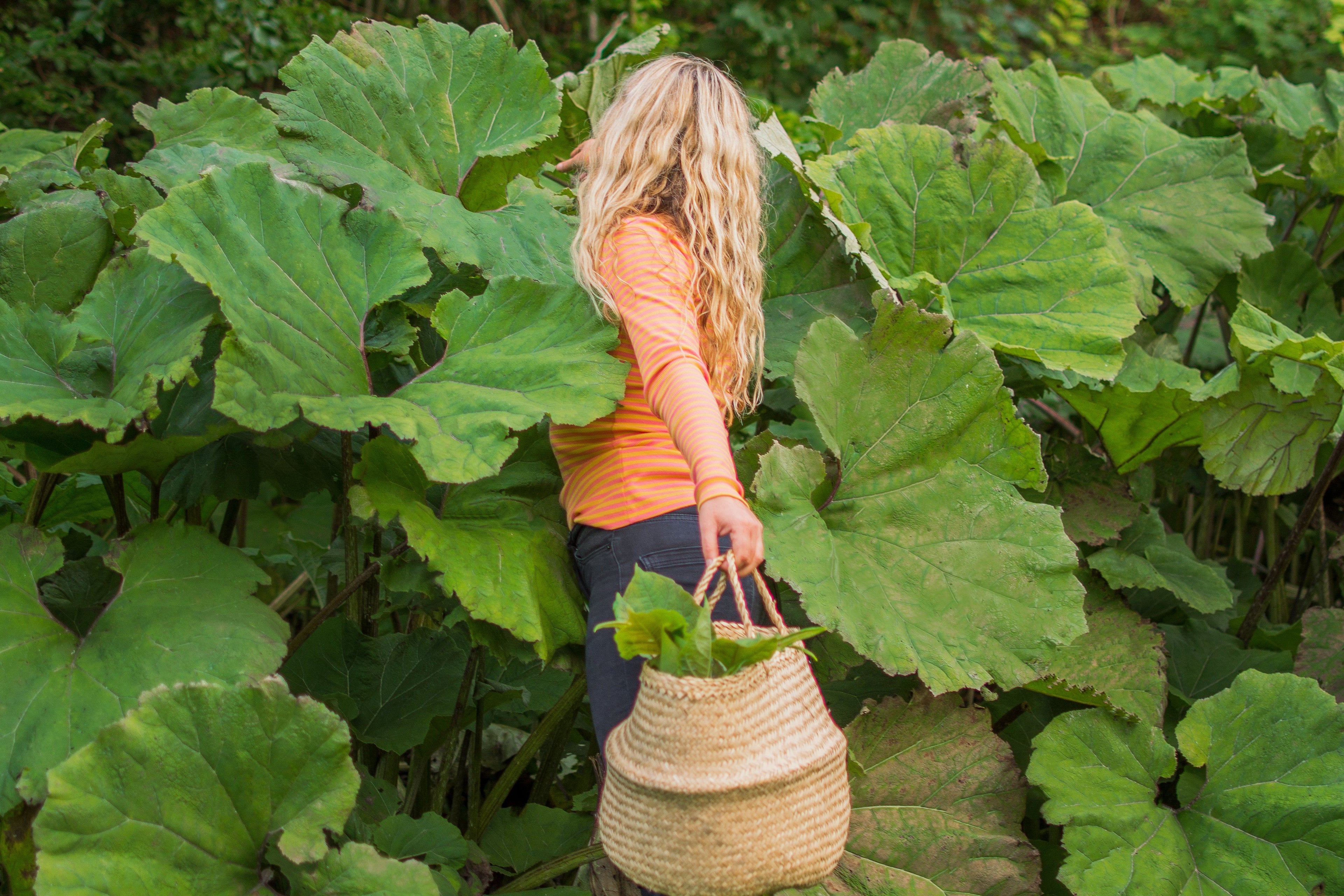 The everyday long sleeve tea rose magic stripes AiA WOMAN AlbaBaby Tops Alba of Denmark