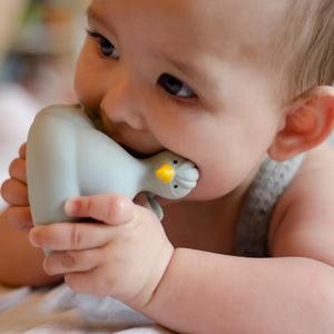 Mordedor brinquedo de banho pavão azul Natruba