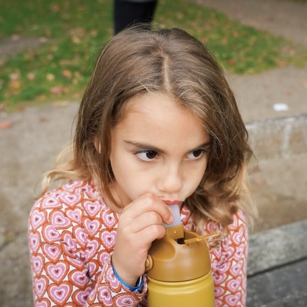 Garrafa térmica de aço laguna 420 ml dinnerware Grech