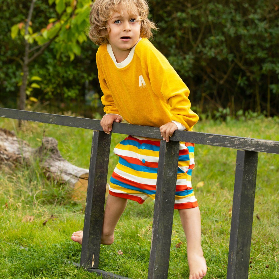 Joy is a feeling old gold AlbaBaby Tops Alba of Denmark