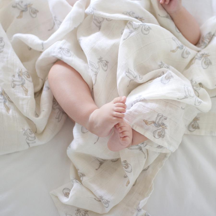 My darling dumbo muslins swaddle 3-pack Muslin Aden + Anais