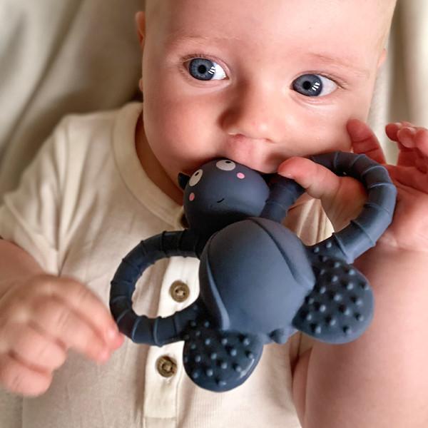 Teether toy Felix the fly Filibabba Toys Filibabba