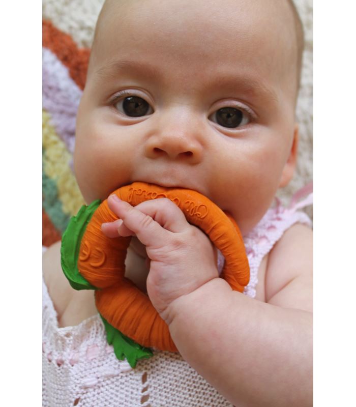 Cathy the carrot Toys Oli&Carol