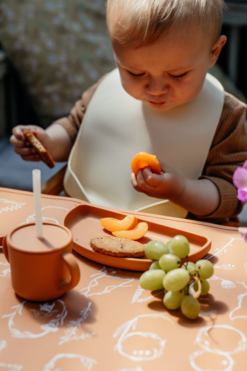 2-pack plates terra Lille Vilde dinnerware LIlle Vilde