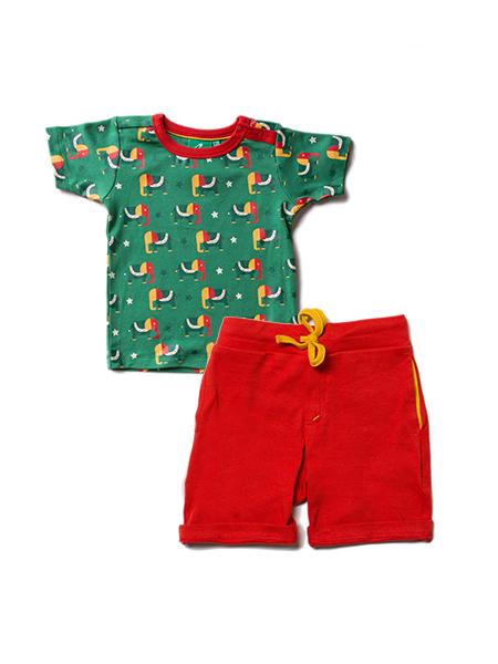 Starry eyed elephant t-shirt set Little Green Radicals playsuit Little Green Radicals