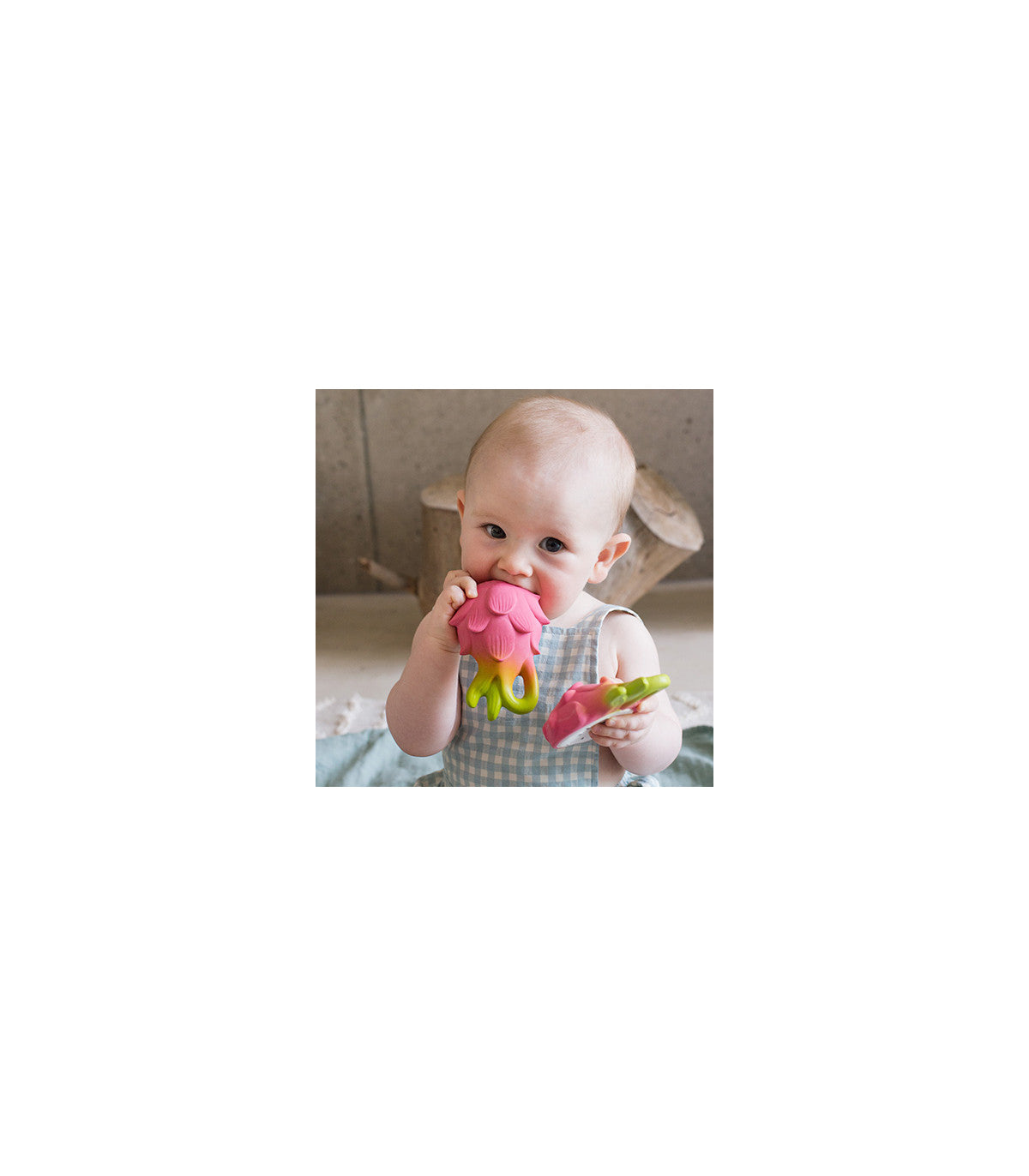 Mordedor Fucsia the dragonfruit Toys Oli&Carol