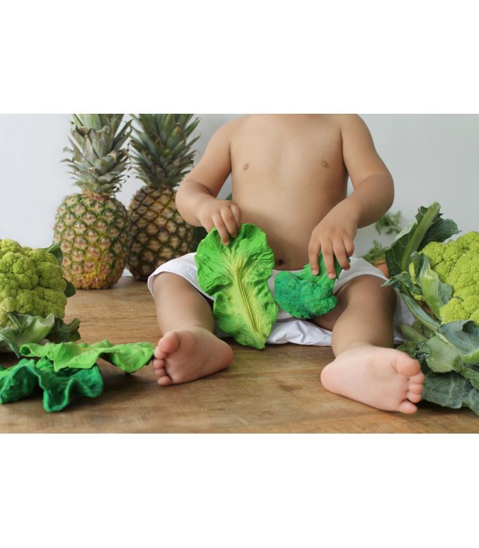 Kendall the kale Toys Oli&Carol